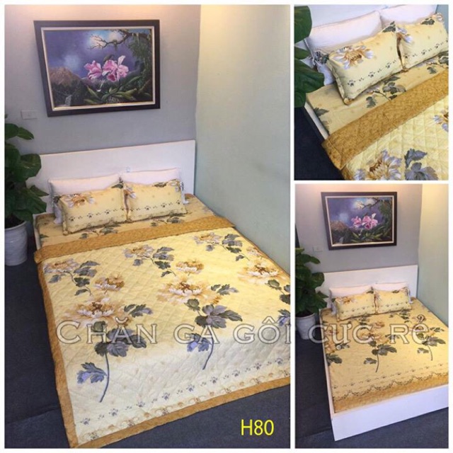 Trọn bộ ga gối cotton