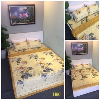 Trọn bộ ga gối cotton