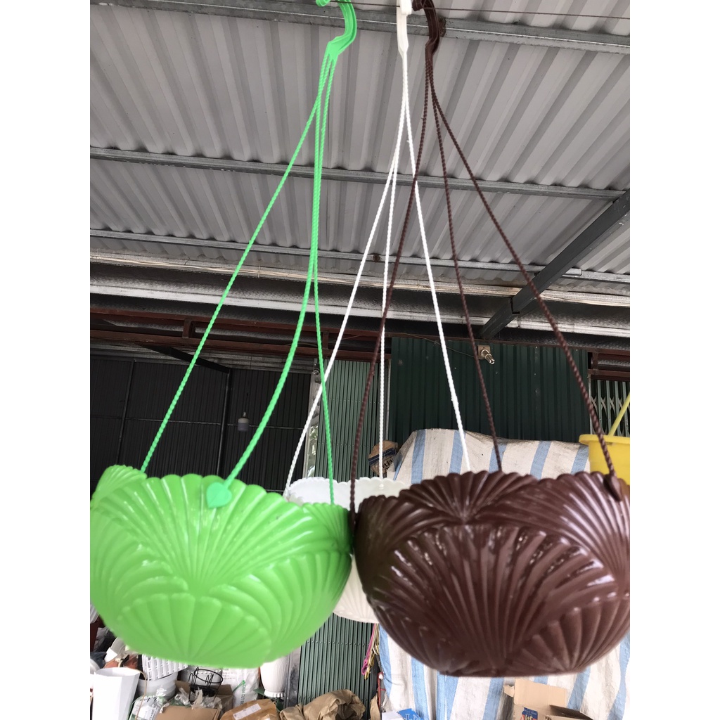 Chậu nhựa treo Sò trồng hoa, cây cảnh siêu bền đẹp size to 20cm x12 cm