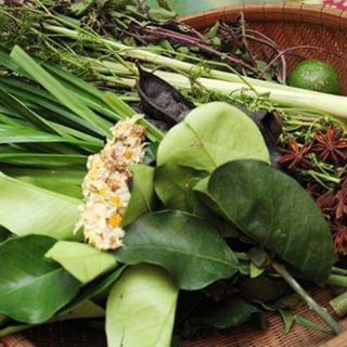 Dầu Gội Thảo Dược Tâm An