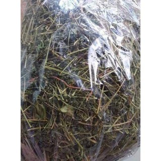 cây tầm bóp khô