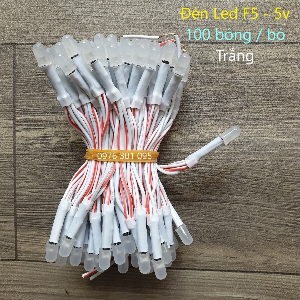 Led Ruồi Liền Dây 5v - F5 ( 100 bóng )