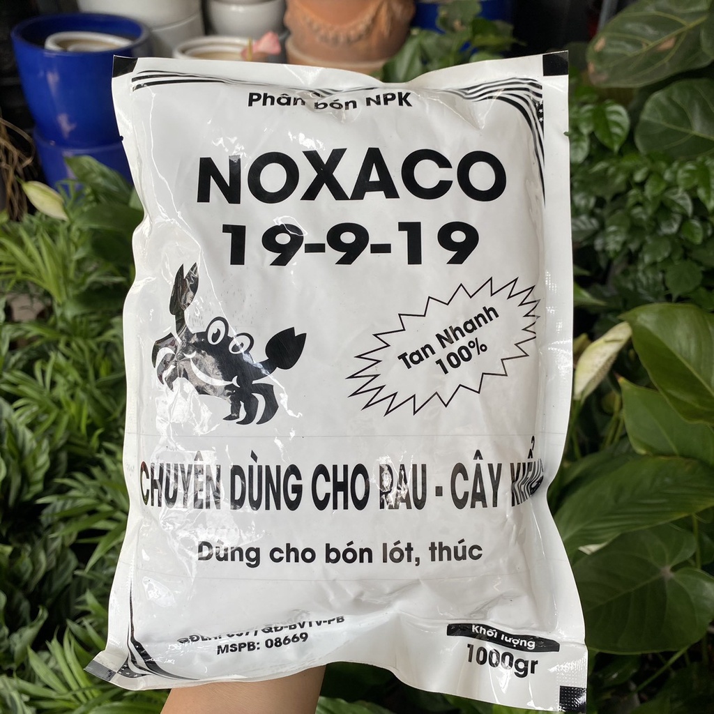 Phân NPK 19-9-19 nhập khẩu chuyên dùng cho rau, cây kiểng