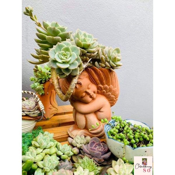 Chậu đất nung - chậu thiên thần nhỏ