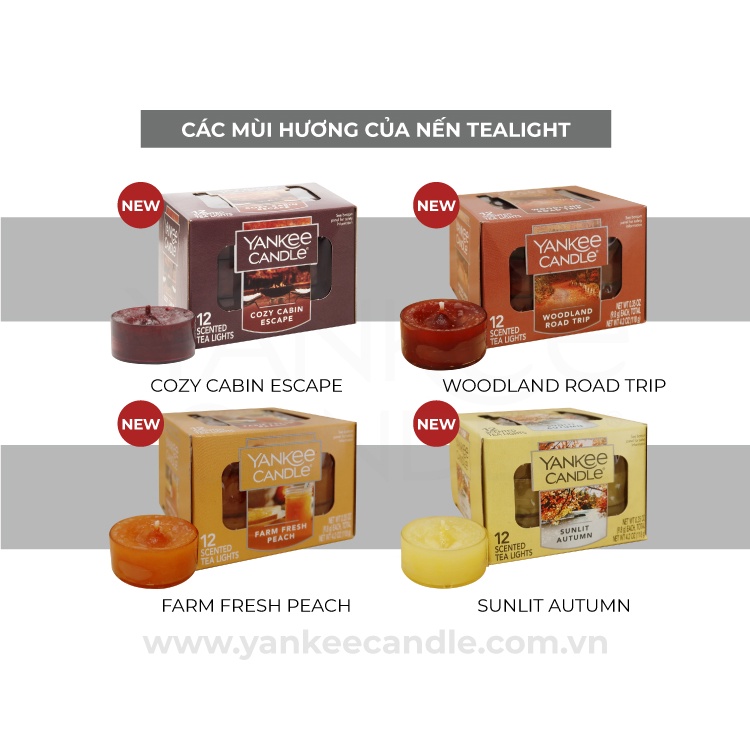 Nến Tealight Yankee Candle (hộp 12 nến/1 mùi)