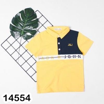 Áo thun có cổ Polo chất mềm mát có cho bé trai 8-37kg - Shop BIgbaby