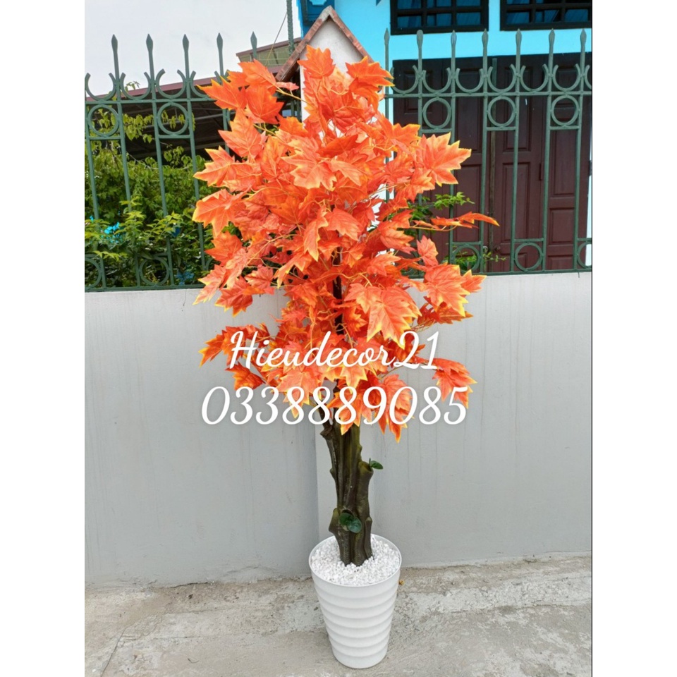 Cây Giả - Cây Lá Phong Đỏ Lá To, cao1,9m