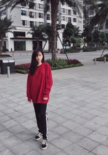 sweater trơn