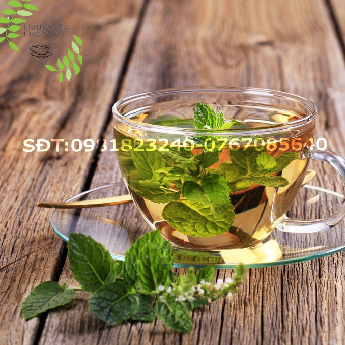 (ảnh thật + video) Trà bạc hà nguyên lá sấy khô sạch khó tiêu đầy hơi trà thảo mộc sỉ 100g