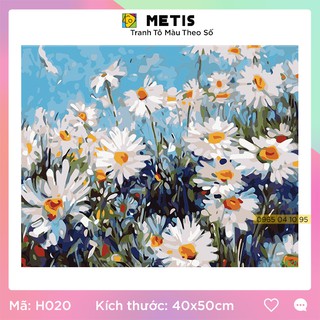 Tranh Sơn Dầu Số Hoá Có Khung Dễ Tô Màu Hoa Cúc Hoạ Mi Về Trên Phố