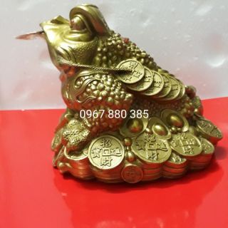 Cụ cóc 20x20, thiềm thừ đế tiền vàng