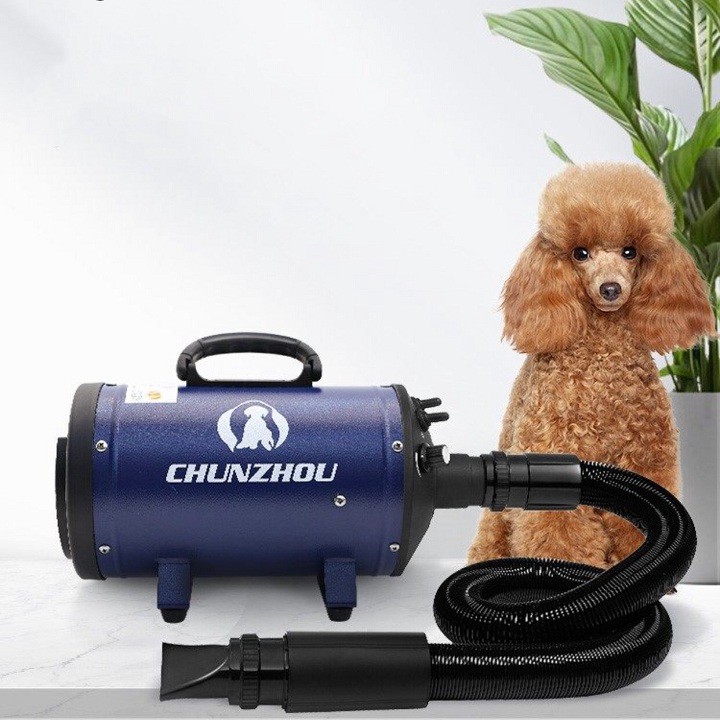 Máy Sấy Lông Thú Cưng | Chunzhou BS-2400 | Công Suất 2200W | Bảo Hành Chính Hãng 6 Tháng | Pets Store