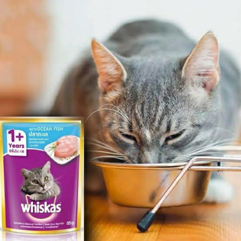 Thức ăn cho mèo lớn whiskas pate 85g