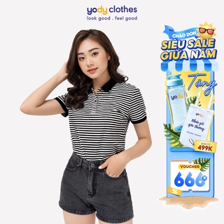 Áo polo nữ YODY kẻ sọc melange dáng basic chất vải mềm mịn APN4172