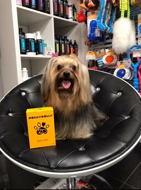 Dầu dưỡng lông kim luôn dầu thơm của doggy dolly 🇹🇭