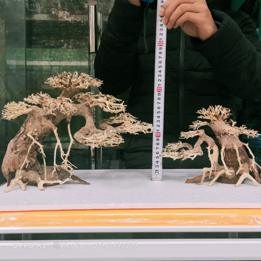 Mô hình Cây gỗ lũa thủy sinh Không tán SIZE nhỏ dùng cho bể cá cảnh