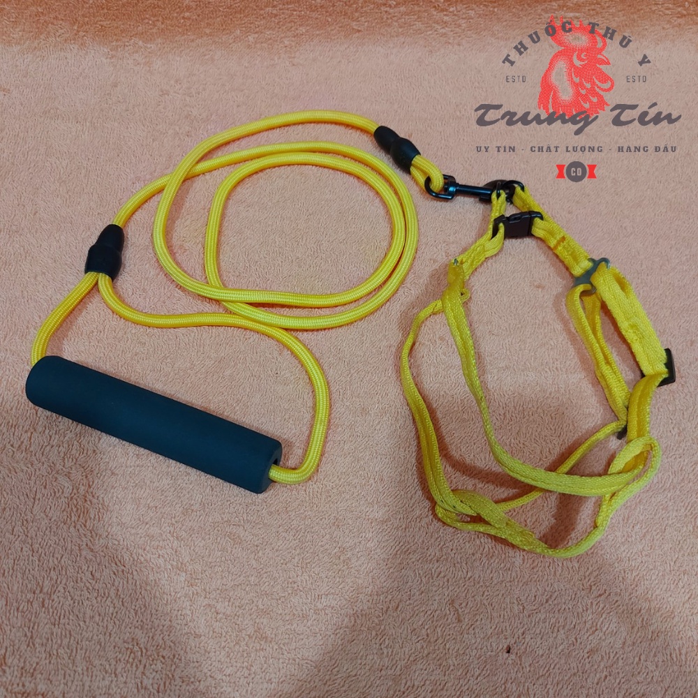 dây cột chó + vòng cổ (dành cho chó trung , nhỏ) (dây dài 1m2)