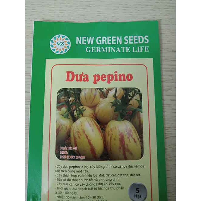 Hạt giống Dưa Pepino (Mỹ) gói 5 hạt