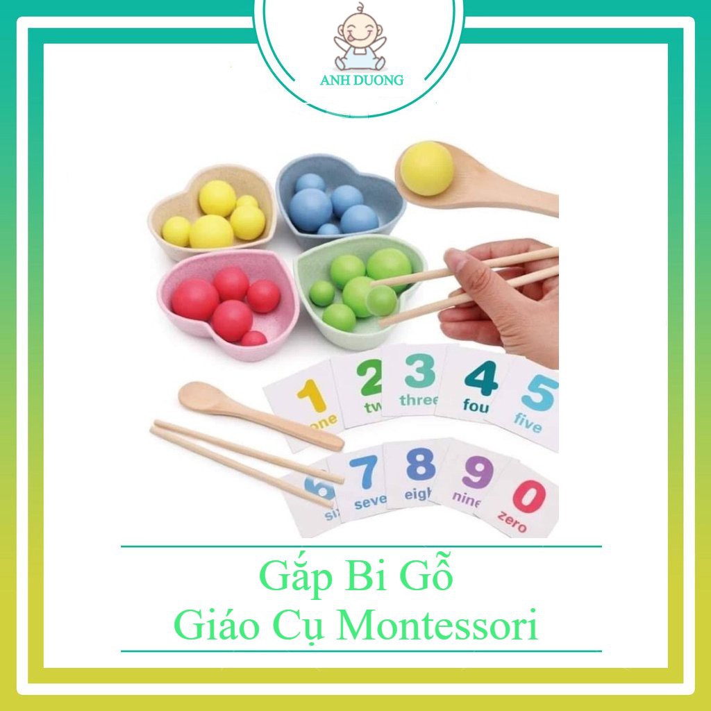 Đồ Chơi Gắp Bi Gỗ- Giáo Cụ Montessori Luyện Vận Động Tinh Cho Bé