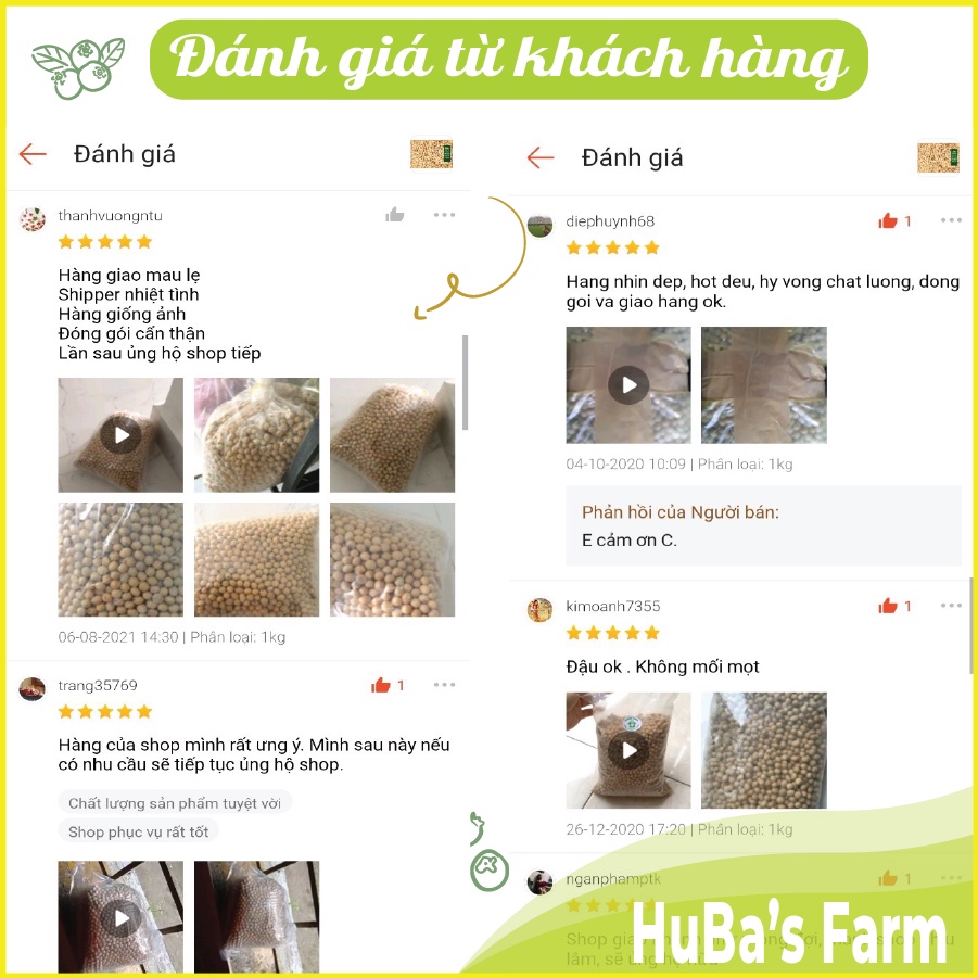 Đậu nành giống thuần chủng, đậu tương giàu dinh dưỡng, đậu nành làm giá không chất bảo quản