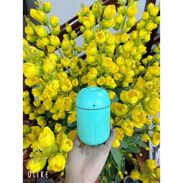 Phun sương giọt nước lớn.