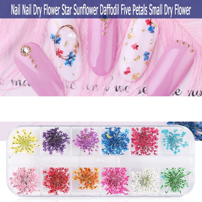 Hoa khô trang trí móng tay