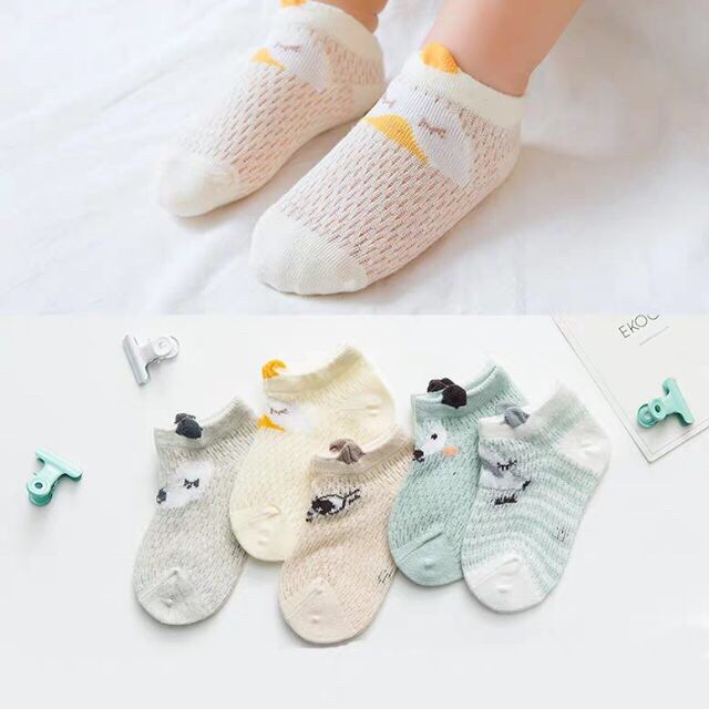 Sét 5 đôi tất lưới cổ thấp Kid's Socks