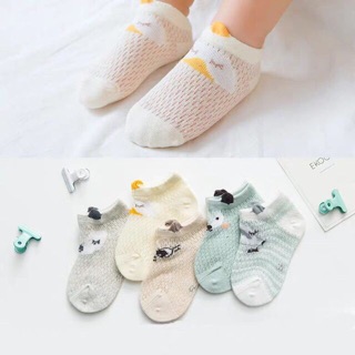 Sét 5 đôi tất lưới cổ thấp Kid's Socks
