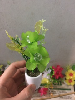 10 chậu hoa đá pha lê