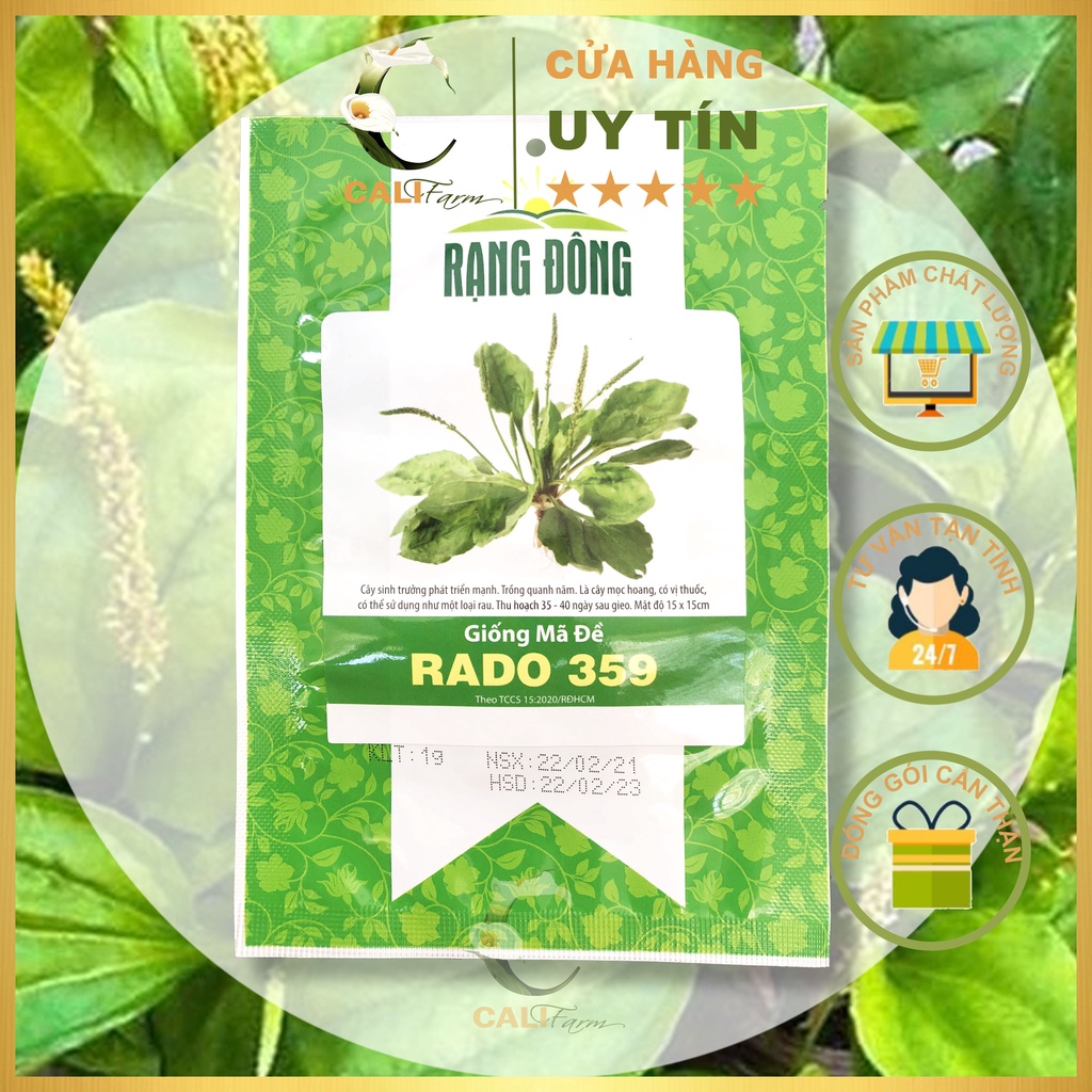 Hạt Giống Rau Mã Đề (Xa Tiền Thảo) Rado 359 gói 1gr Dễ Trồng, Tốt cho sức khỏe