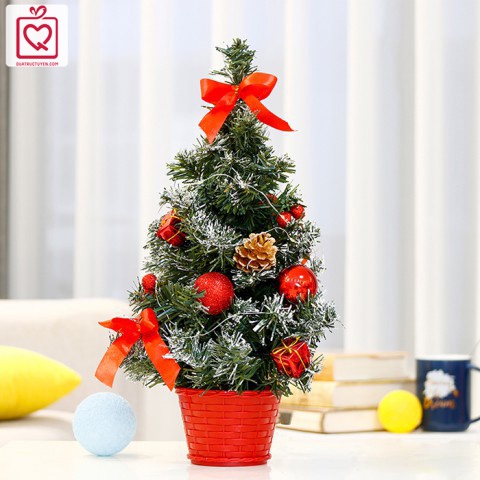 Cây thông Noel giáng sinh mini để bàn cao 20-40cm gắn phụ kiện trang trí giáng sinh