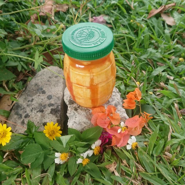 Chao môn Huệ Tâm