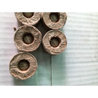 Thùng 1000 viên nén xơ dừa trồng cây con ươm kei hoa lan