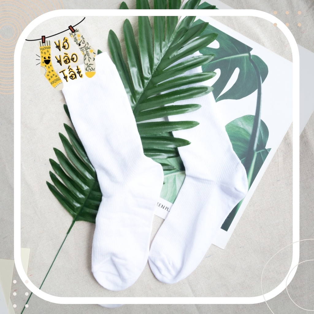 TẤT VỚ CỔ CAO NỮ TRƠN SỌC CHÌM CỔ BO CHUN