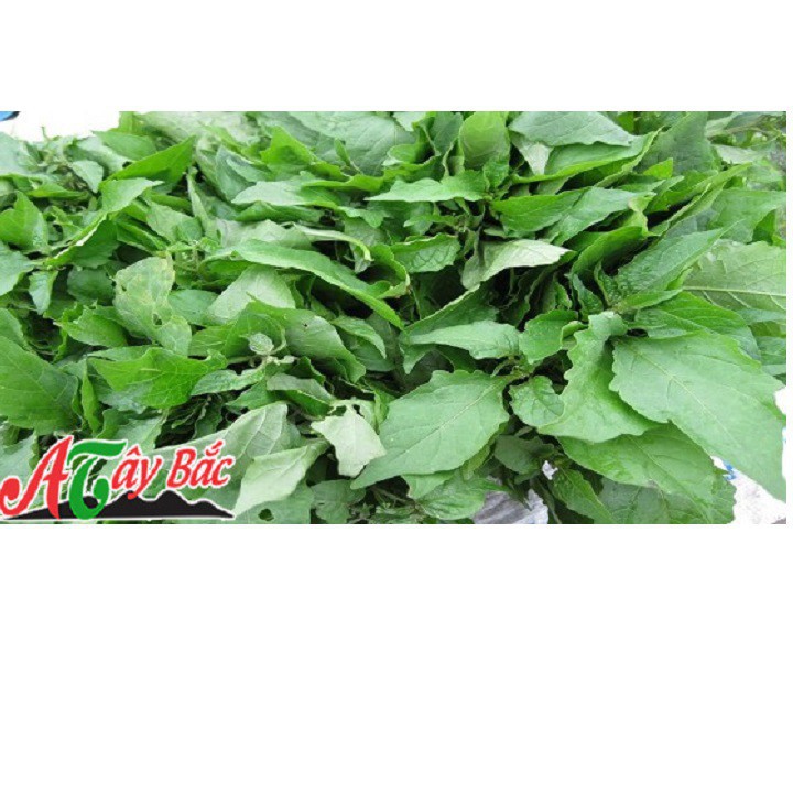 Bán buôn- Hạt giống rau tầm bóp gói 0.2 gram xuất xứ Việt Nam hàng đẹp, nhập khẩu.