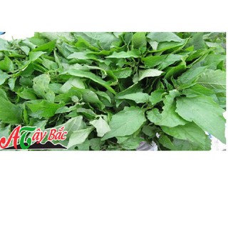 Bán buôn- Hạt giống rau tầm bóp gói 0.2 gram xuất xứ Việt Nam hàng đẹp, nhập khẩu.