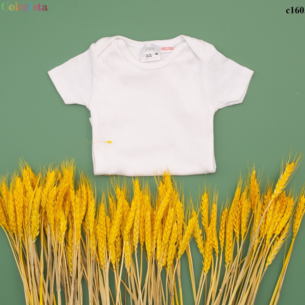 Body chip cộc tay cotton mềm mại phong cách nhẹ nhàng thời trang COLORISTA