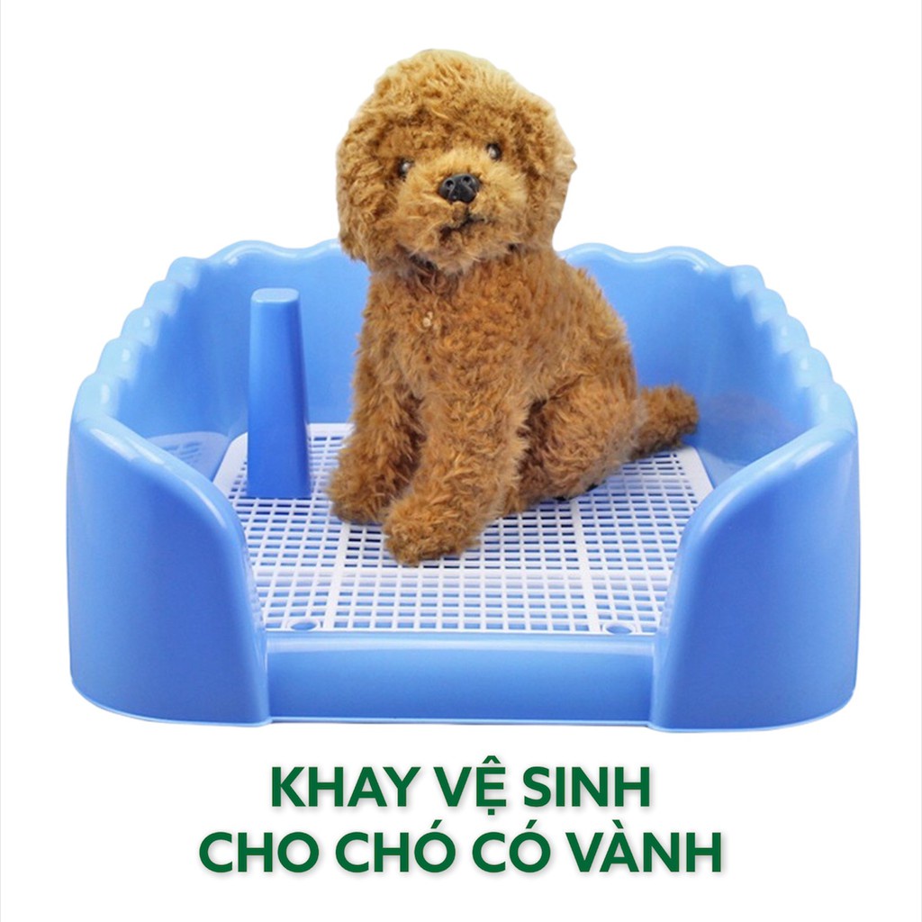 🐻🐶Khay vệ sinh có thành size lớn cho thú cưng chó mèo - Poodle phốc sg