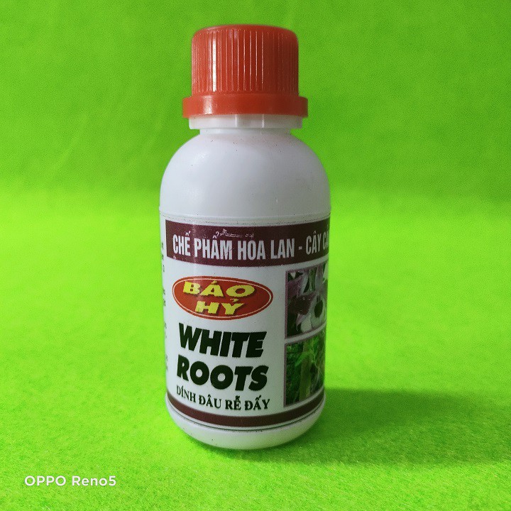 WHITE ROOT - SIÊU KÍCH RỄ BÁO HỶ 100ml