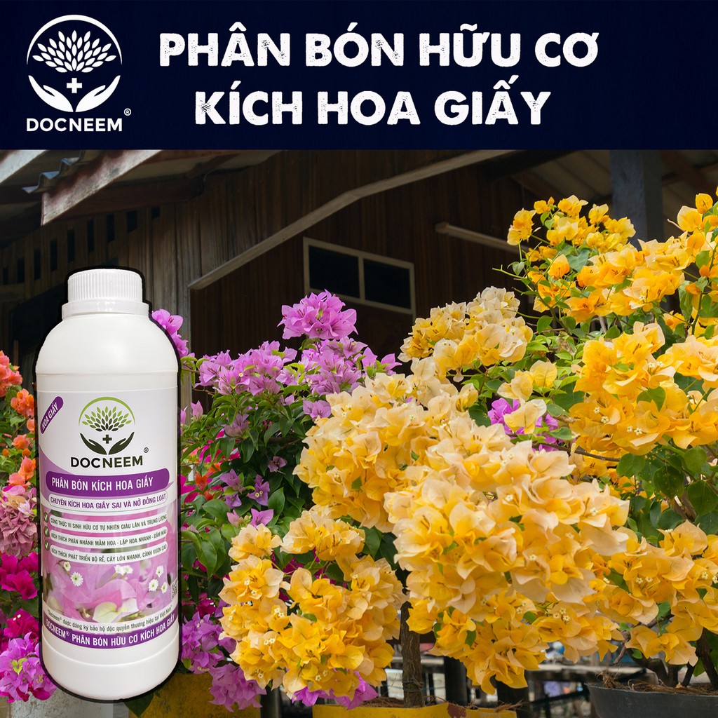 Phân bón hoa giấy DOCNEEM, kích bông giấy ngũ sắc, cẩm thạch, thái, mỹ sai hoa, lặp hoa nhanh, nở đồng loạt, chai 1 lít