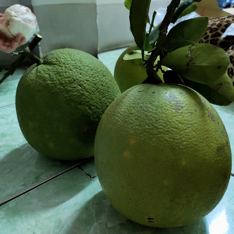 Bưởi da xanh ruột hồng