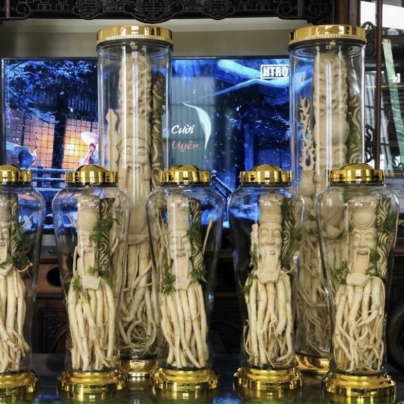 Bình Thuỷ Tinh Ngâm Rượu Sâm ... Bình 3L , 4L, 5L dáng bình eo