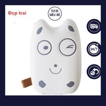 Sạc Dự Phòng 10000mah SSR Totoro BH12T (LA82106)