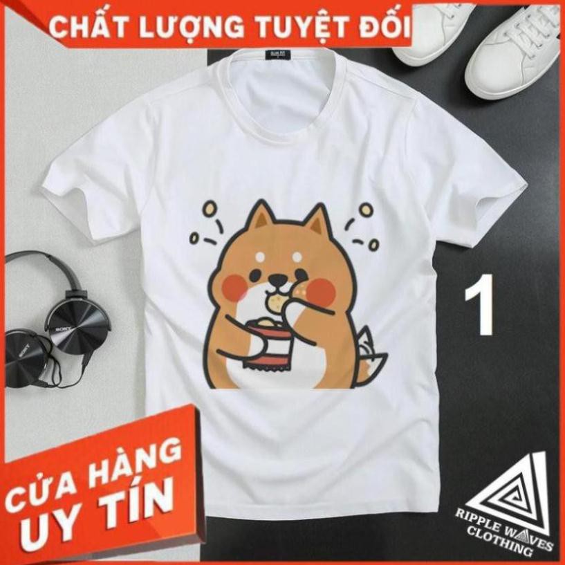 Áo Thun Gấu TonTon, áo thun unisex hàn quốc, vải cotton mịn, dày, mát, in cao cấp