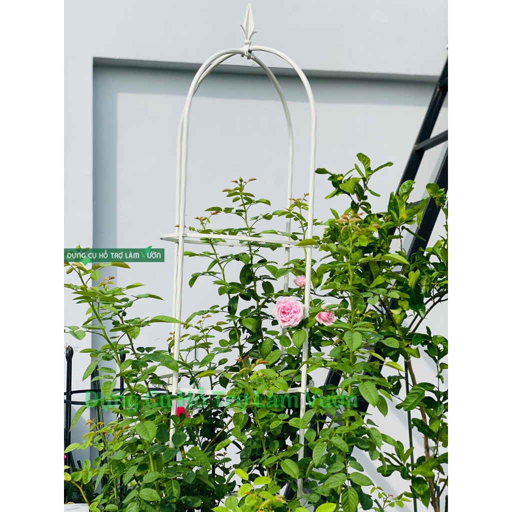 Khung hoa hồng leo cao160cm -giá đỡ hoa hồng leo - hình tháp chuông-khung lồng chim-