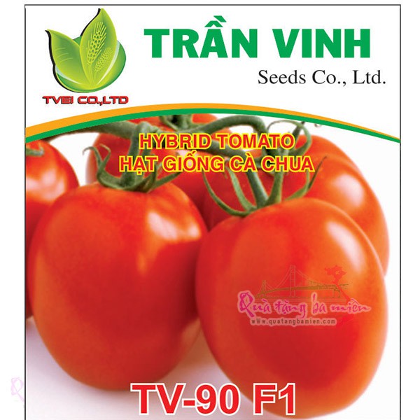 Hạt giống Cà chua Hàn Quốc TV-90 F1 - 5Gr (Cứng quả, chịu nhiệt, năng suất cao)