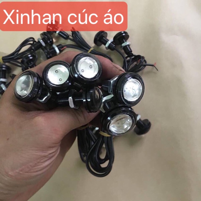 Xinhan cúc áo cực đẹp giá 1 đôi