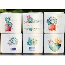 chậu sứ miệng vuông lớn in hình