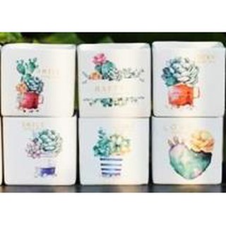 Chậu sứ miệng vuông lớn in hình