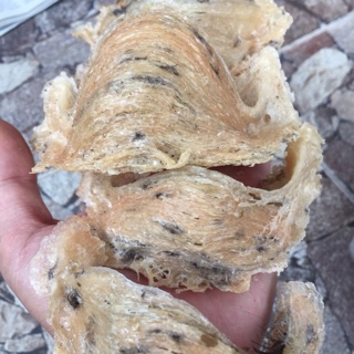 Hồng yến thô nguyên tổ